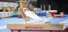 Gymnastics Timetable